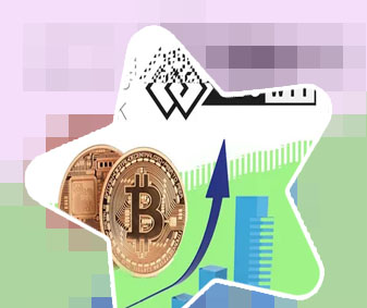 Btc(segwit)