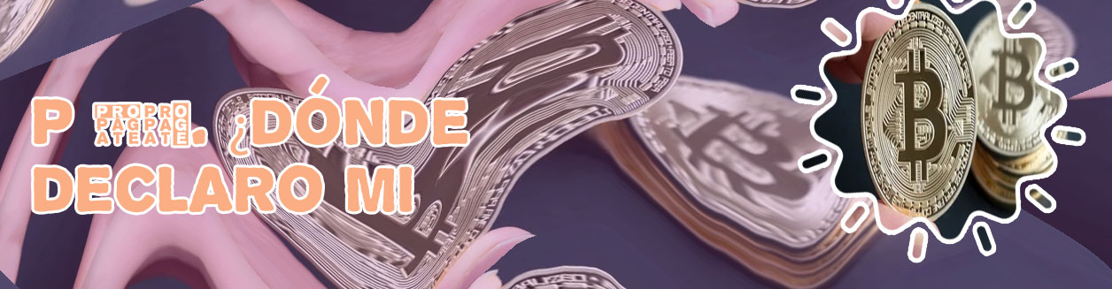 Cual es el valor de las criptomonedas